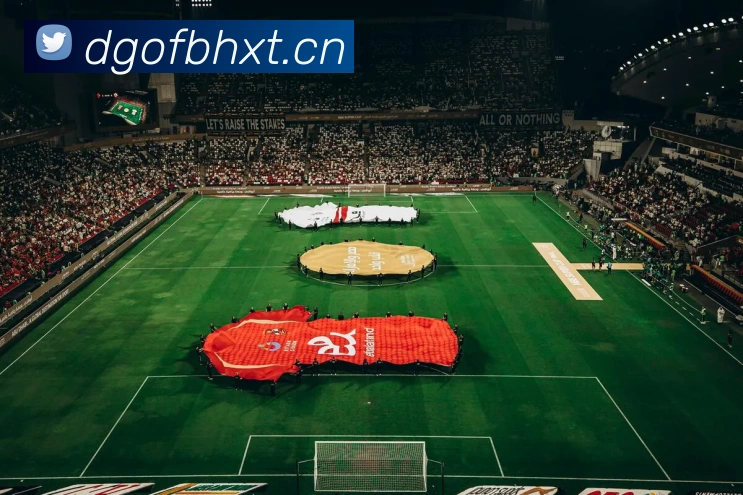 星空app官方登录入口品牌故事