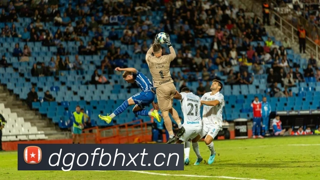 星空app官方登录入口服务体系